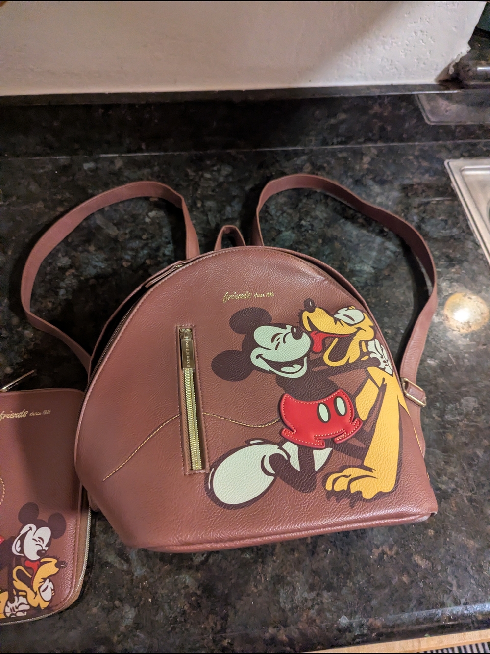 Danielle Nicole Brown Mickey & Pluto Mini Backpack